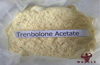 Steroidi CAS di Trenbolone dell'acetato di Trenbolone 862-89-5 C20H24O3