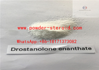 Strongest Anabolic Androgenic Steroids Supplements Drostanolone Enanthate--472-61-145